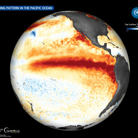 Una franja distintiva de agua más cálida se extiende a lo largo del Pacífico ecuatorial central y oriental, lo que ilustra el patrón de calentamiento de El Niño en curso.