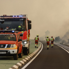 Bomberos durante la extinción del incendio forestal en la Gola de Pujol, El Saler, València.