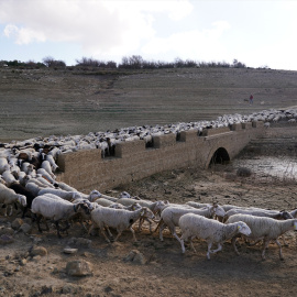 EuropaPress_5736510_restos_antiguo_pueblo_penarubia_quedado_descubierto_ausencia_agua_embalse