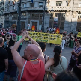 manifestación mediomabiente