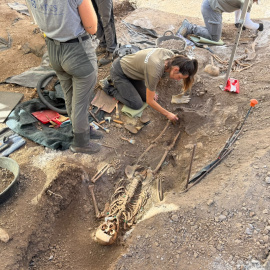 Trabajos de excavación y exhumación en el cementerio municipal de Son Servera, a 7 de septiembre de 2026.