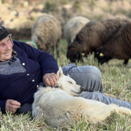 La pastora Marina Vilalta amb el seu ramat, en una imatge d'arxiu. 2026