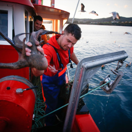Un pescador del buque 'Mariñeiro 2', de Burela (Lugo), con un pulpo durante una jornada de faena en una imagen de archivo.
