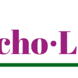 EchoLogic-6-4.png
