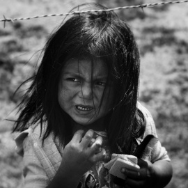 roi-dimor-320092-unsplash