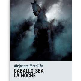 caballo sea noche