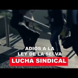 Lucha sindical: adiós a la ley de la selva