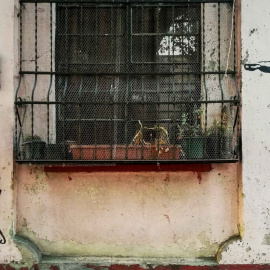 Foto de Alejandro Cartagena en Unsplash