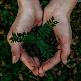 Foto de Noah Buscher en Unsplash
