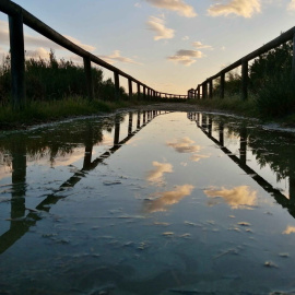 Foto de Paco Peris