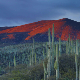 Foto de Andrés Sanz en Unsplash