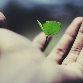 Foto de name_ gravity na Unsplash