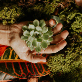 Foto de lucas mendes en Unsplash