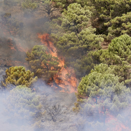 Incendio forestal en Igualeja (Málaga).