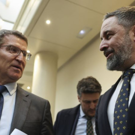 Alberto Núñez Feijóo y Santiago Abascal, en una imagen de archivo.