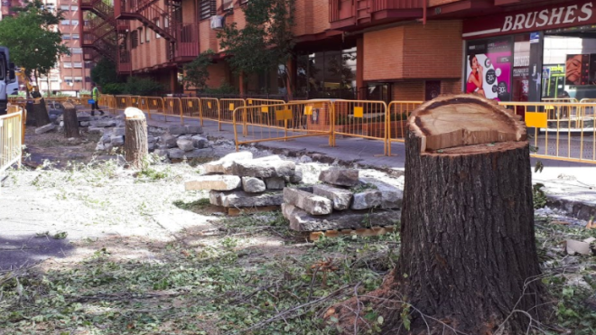 Vecinos del barrio del Retiro protestan por la tala de decenas de ...