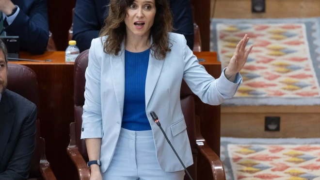 El Constitucional anula de forma cautelar parte de las leyes trans y ...