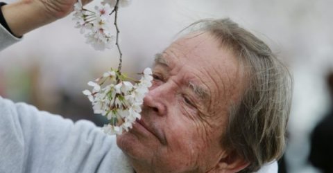 Un hombre oliendo una flor./REUTERS