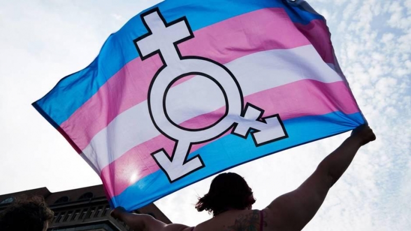 Una persona sujeta una bandera trans y género neutro durante una manifestación en Berlín. | EFE