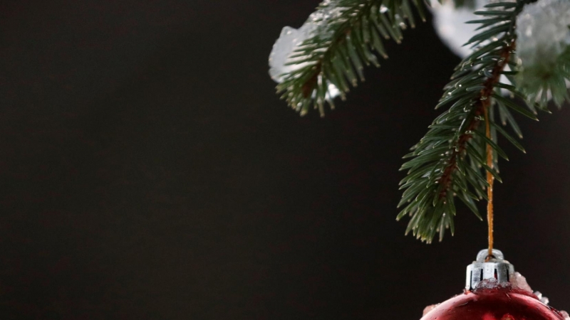 Detalle de un árbol de Navidad. / REUTERS - RUSSELL CHEYNE