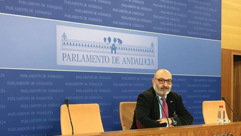 Alejandro Hernández, portavoz de Vox en el Parlamento de Andalucía. Europa Press