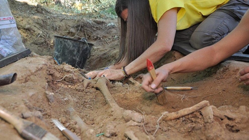 Exhumación de una fosa común con víctimas mortales de la represión franquista | ARMH