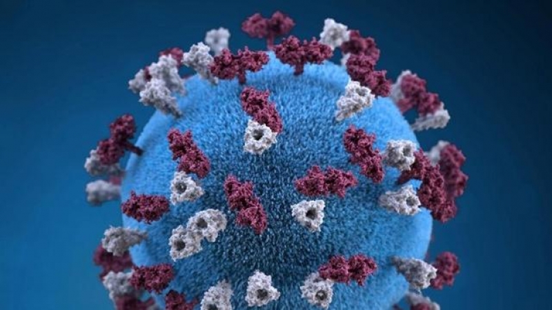 Representación del virus del sarampiónREUTERS / HANDOUT . - Archivo