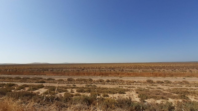 Trebujeña, Doñana.