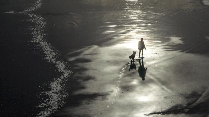28/01/2020.- Un hombre pasea con su perro por la playa del Sardinero en Cantabria, este martes. Se esperan lluvias débiles y dispersas así como pocos cambios en temperaturas, excepto las máximas en Cantabria del Ebro donde ascenderán. Viento de component