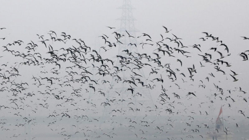 Imagen del cielo contaminado en India. REUTERS/Anushree Fadnavis/File Photo