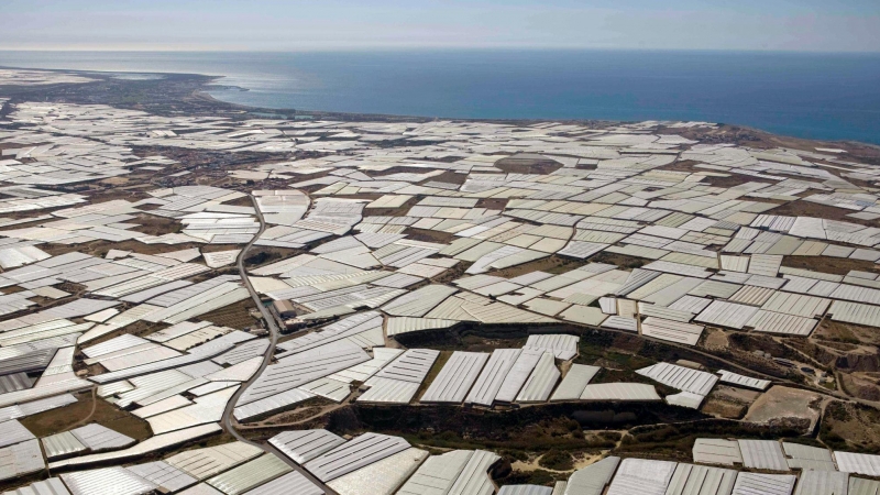 Vista aérea de los invernaderos de El Ejido. / EFE