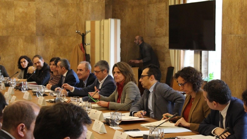 La vicepresidenta Teresa Ribera durante el Consejo Asesor de Medio Ambiente. / Ministerio de Transición Ecológica