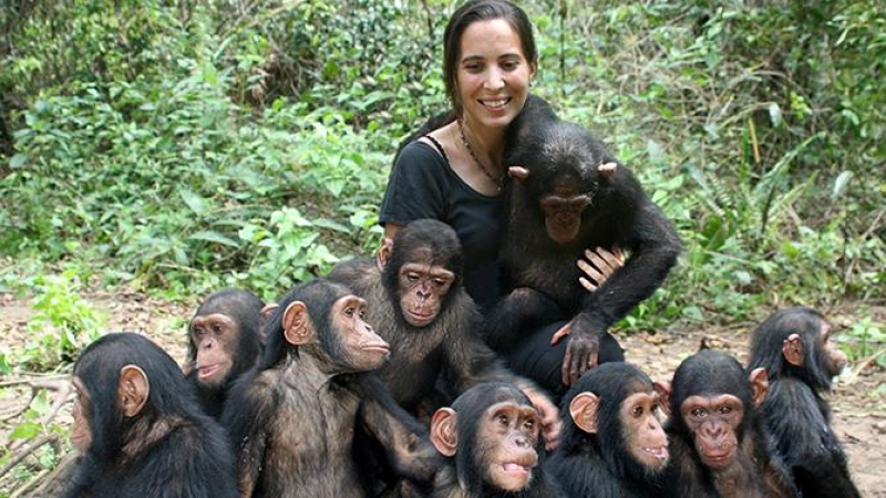 Rebeca Atencia con chimpancés bebés. / Fernando Turmo IJG