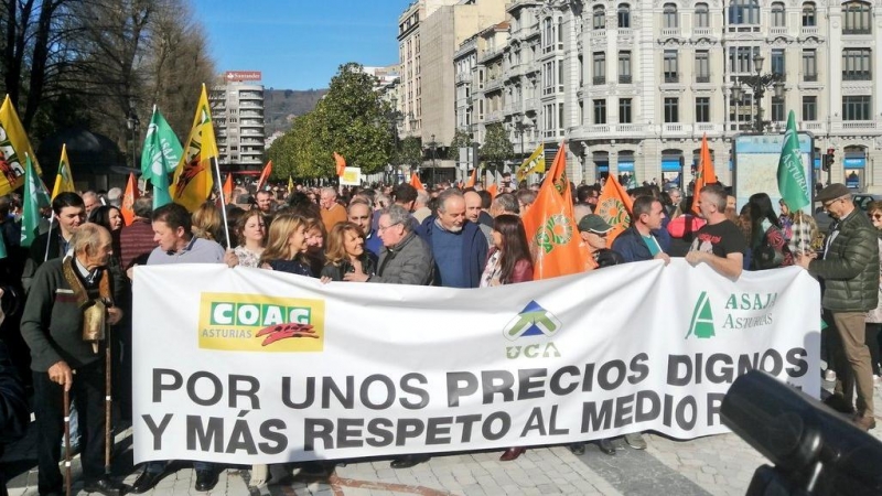 Manifestantes en la concentración de Oviedo. / Twitter-Teresa Mallada De Castro