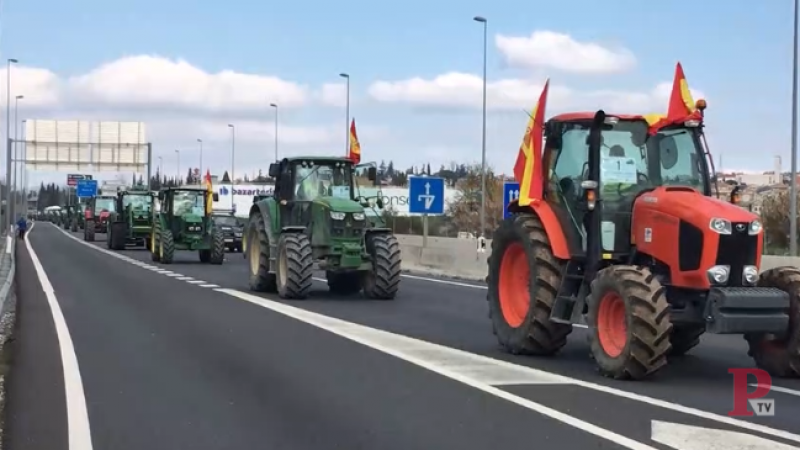 19/02/2020 - Una tractorada en protesta por el sector agrario atraviesa Granada. / EUROPA PRESS