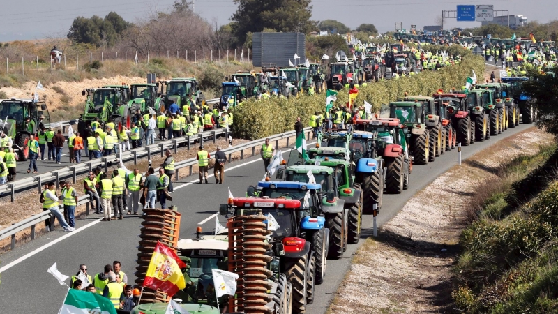 25/02/2020.- La 'tractorada' de agricultores y ganaderos, que cortan la carretera A-4 a la altura de la localidad sevillana de Carmona. EFE/José Manuel Vidal