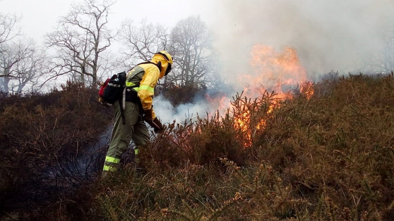 Cantabria cierra el sábado con un incendio forestal activo pero ya controlado en Lamasón