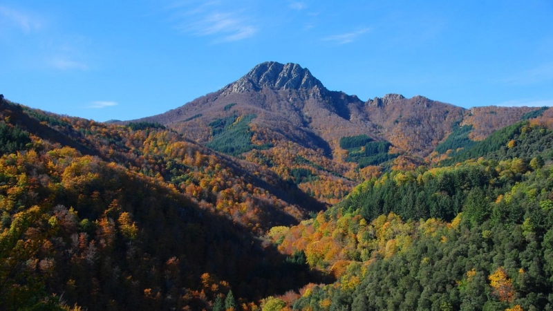 Imatge d'arxiu del parc natural del Montseny. Viquipèdia