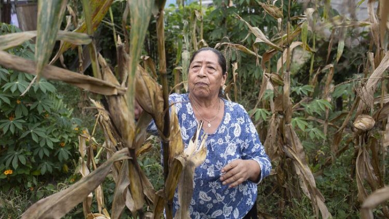 Datos de la FAO señalan que el porcentaje de mujeres que poseen títulos de propiedad de la tierra en América Latina y Caribe ronda el 18%. EDU LEÓN/ PROYECTO ATLAS, FUNDACIÓN ALDEA. 2019.