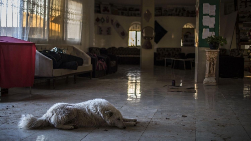 La mascota de la comuna descansa en el centro de formación para mujeres donde las residentes reciben cursos. JM LÓPEZ.