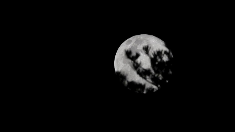 ES1002. SAN SALVADOR (EL SALVADOR), 09/03/2020.- Vista de la súper luna este lunes, en San Salvador (El Salvador). EFE/ Rodrigo Sura