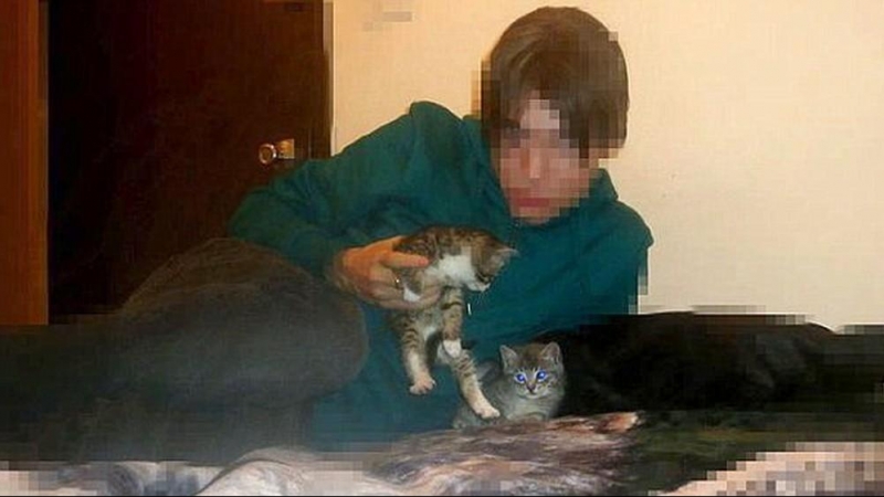 A los gatos, ni tocarlos: un asesino en internet