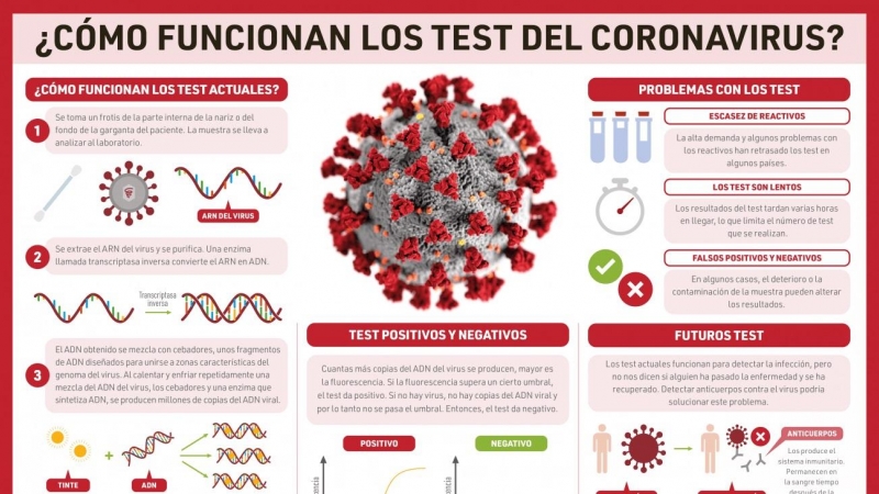 ¿Cómo funcionan los test del coronavirus?/ Compound Interest