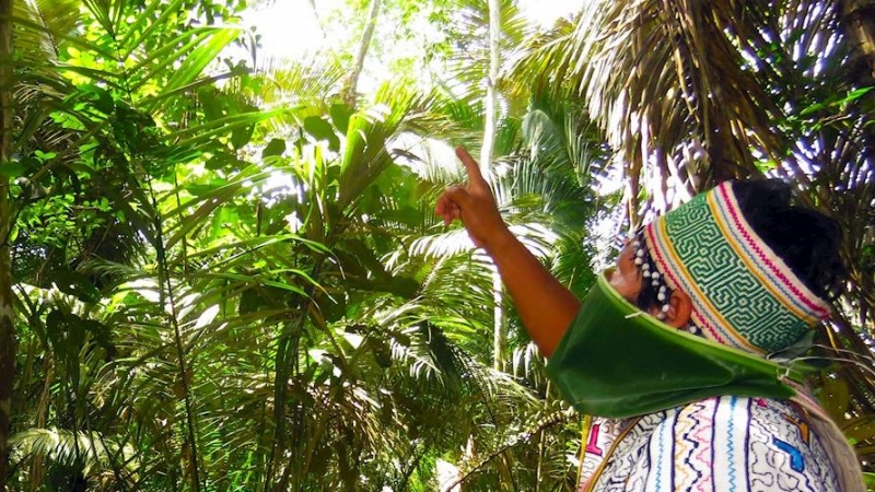 Fotografía cedida por la Asociación Interétnica de Desarrollo de la Selva Peruana (AIDESEP) que muestra a un indígena del pueblo Shipibo que utiliza una mascarilla hecha de hojas, en la provincia de Uyacalí, departamento de Loreto (Perú). / EFE