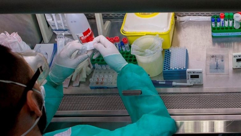 Personal sanitario trabaja con muestras en un laboratorio.EFE/Enric Fontcuberta