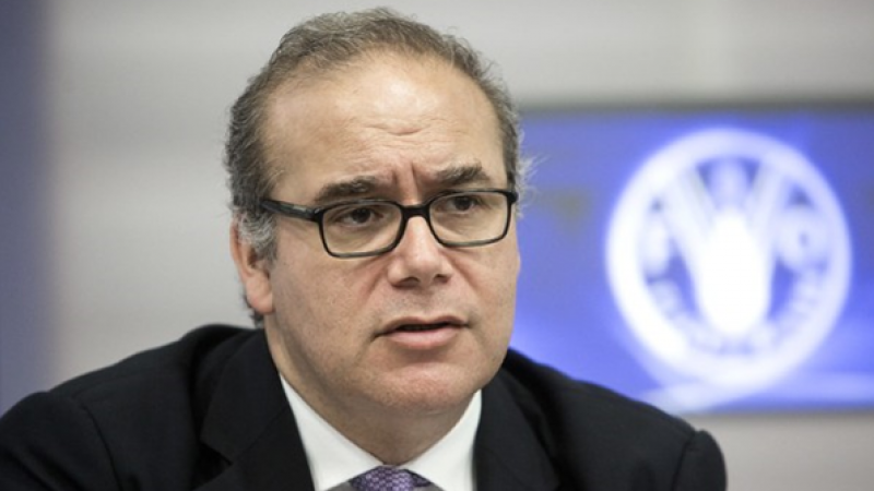 Máximo Torero,  economista jefe y subdirector general del Departamento de Desarrollo Económico y Social de la Organización de las Naciones Unidas para la Agricultura y la Alimentación./ FAO