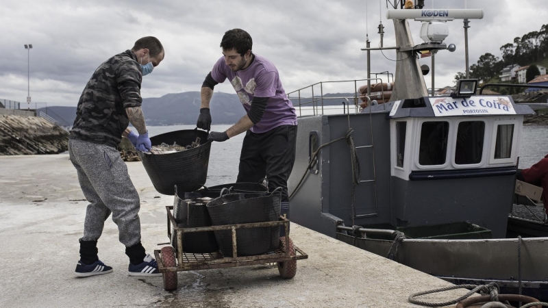 Marineros descargan la pesca del día en el puerto de Muros (A Coruña). Las cofradías de pescadores han solicitado el cese de actividad debido a la falta de EPIs y la imposibilidad de llevar a cabo las medidas de prevención sanitaria estipuladas en barcos