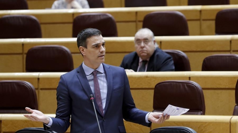 Pedro Sáchez en el Senado