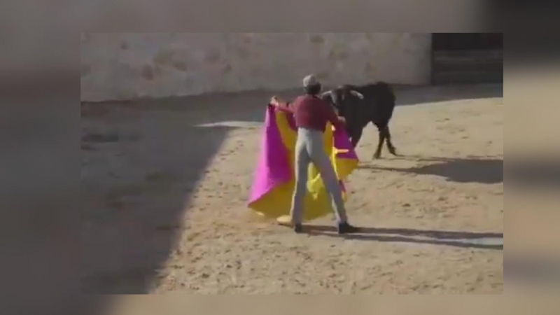 Imagen de la corrida de toros retransmitida por Youtube.