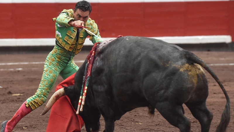 Torero asesinando a un toro. EFE/MIGUEL TOÑA
